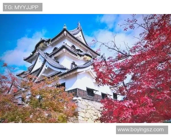 探索埃斯特旺的魅力与文化深度，揭示这座城市的独特风采与历史底蕴