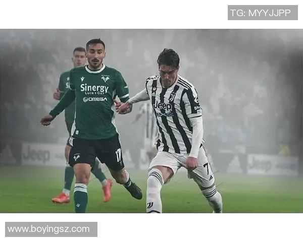 弗拉霍维奇：从天才前锋到意甲新星的成长之路与未来展望