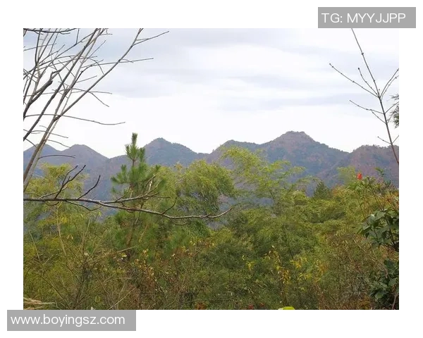 客山与奥伦堡的较量揭示了足球战术与团队合作的重要性