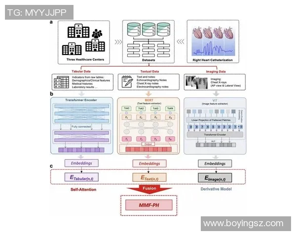 探索奥蓬达的魅力与历史深度,揭示其在当代文化中的重要地位与影响