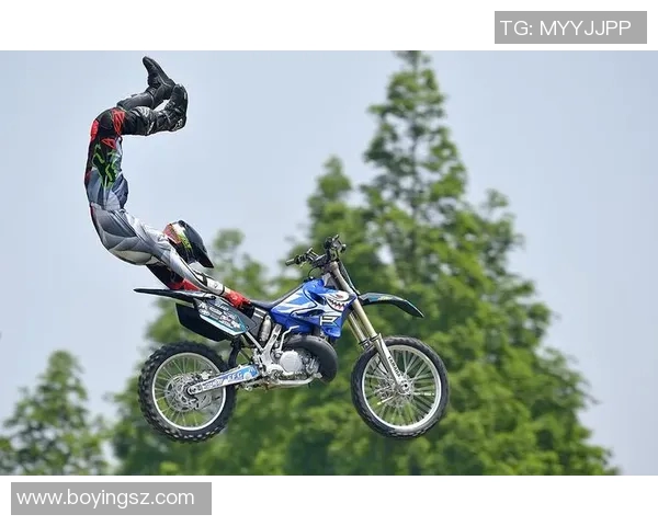 北京极限运动队的管理与发展现状分析及未来趋势探讨MBA