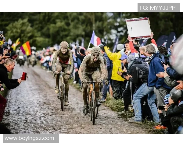 金士顿城与诺斯科特城精彩对决谁能在赛场上笑到最后