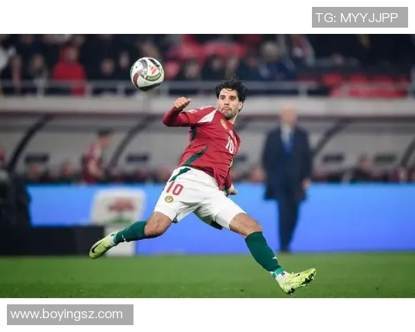 索博斯洛伊的魅力探秘与历史渊源深度解析之旅 索博斯洛伊的魅力探秘与历史渊源深度解析之旅