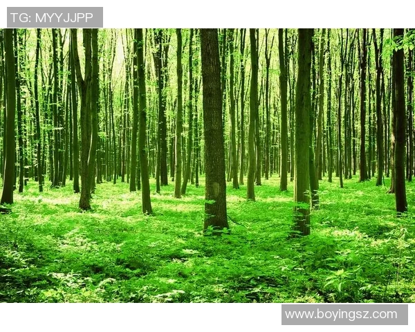 绿色森林与斯文登的生态对比与文化碰撞探讨 绿色森林与斯文登的生态对比与文化碰撞探讨