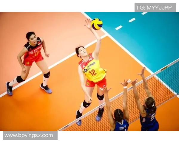 排球盛宴：深入了解上海排球队背后的力量与荣耀