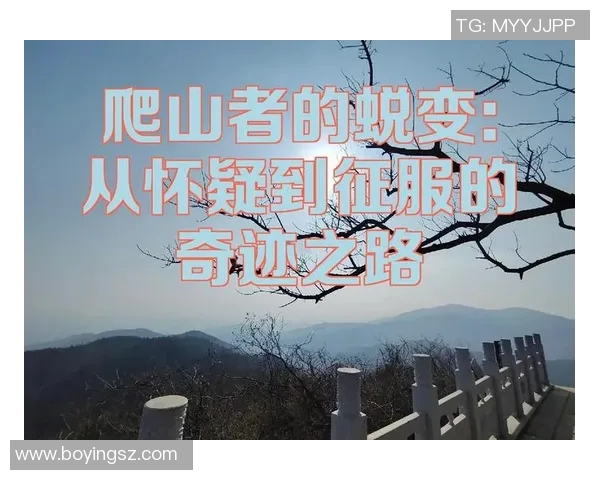 BLG战队转型之路揭秘：从挑战者到顶尖强队的蜕变之旅