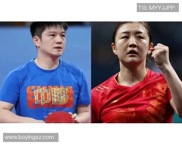 乒乓球力量实力榜单权威发布揭示顶尖选手的竞技潜力与表现 乒乓球力量实力榜单权威发布揭示顶尖选手的竞技潜力与表现