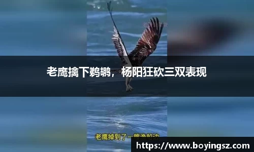 星空体育平台app